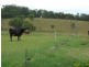 Wingham NSW 2429
