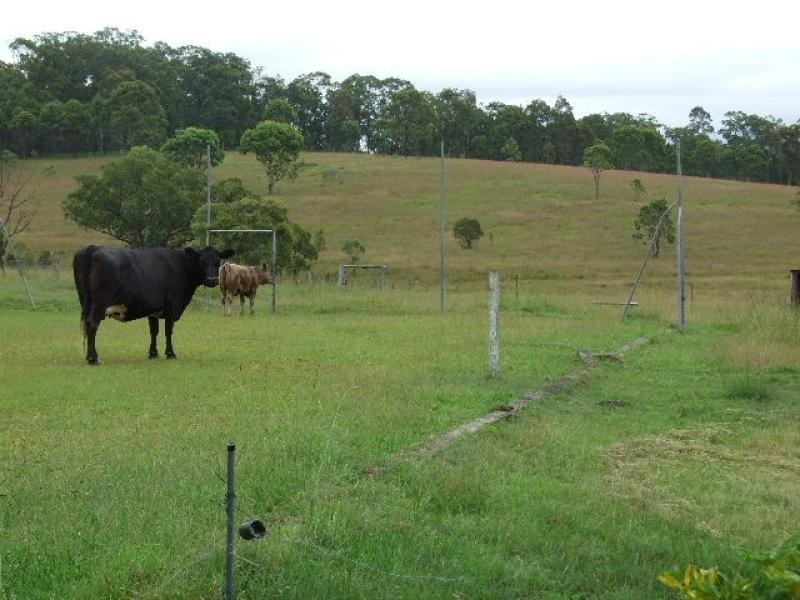 Wingham NSW 2429