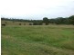 Wingham NSW 2429