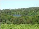 Wingham NSW 2429