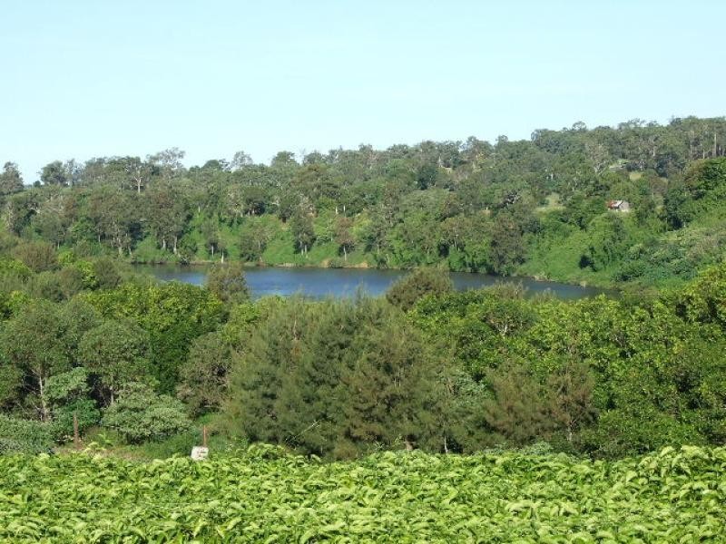 Wingham NSW 2429