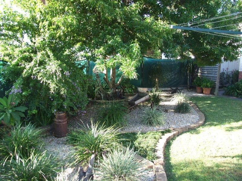 Wingham NSW 2429