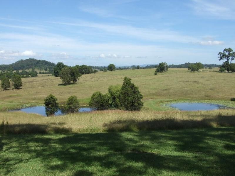 Wingham NSW 2429