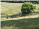 Wingham NSW 2429