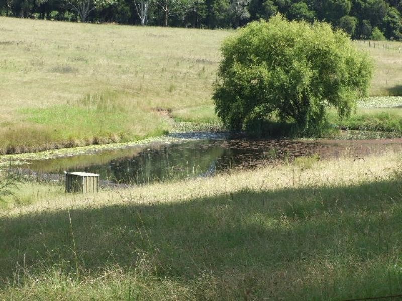 Wingham NSW 2429
