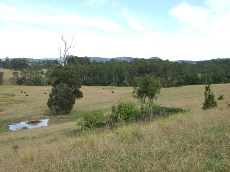 Wingham NSW 2429