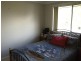 Wingham NSW 2429