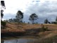 Wingham NSW 2429