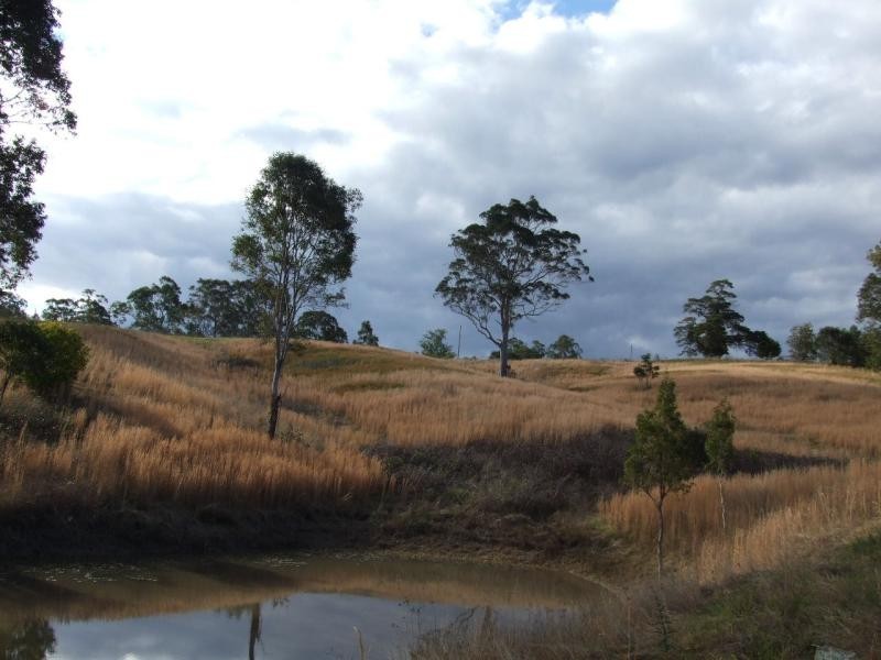 Wingham NSW 2429