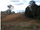 Wingham NSW 2429