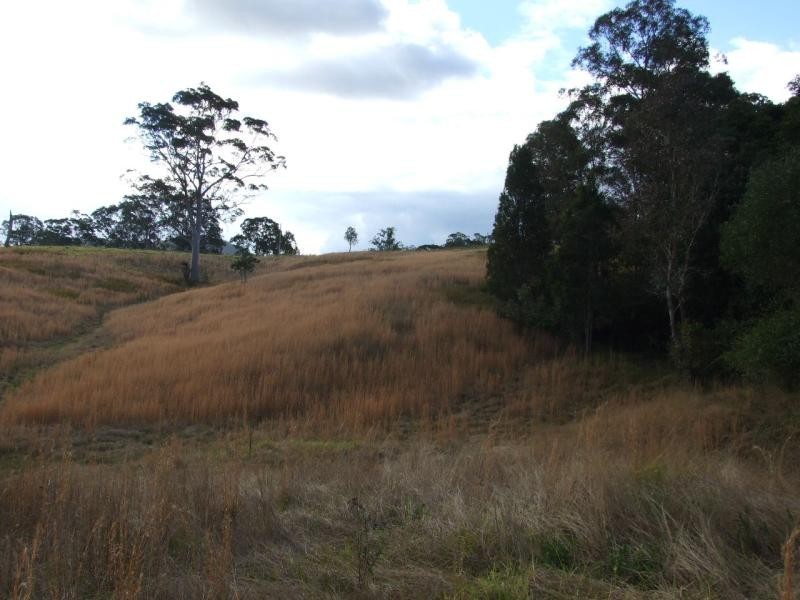 Wingham NSW 2429