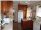 Wingham NSW 2429