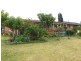 Wingham NSW 2429