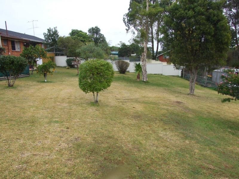 Wingham NSW 2429