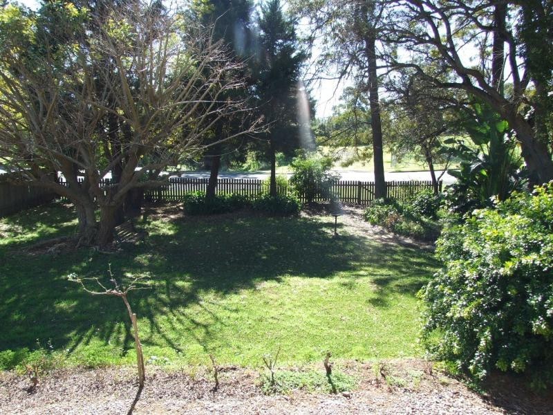 Wingham NSW 2429
