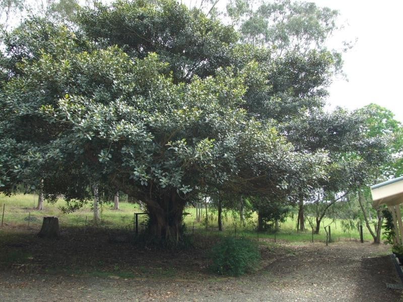 Oxley Island NSW 2430