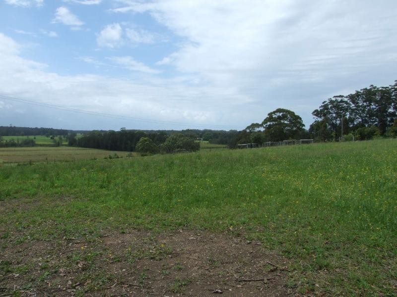 Mitchells Island NSW 2430