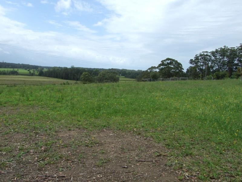 Mitchells Island NSW 2430