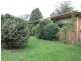 Cedar Party NSW 2429