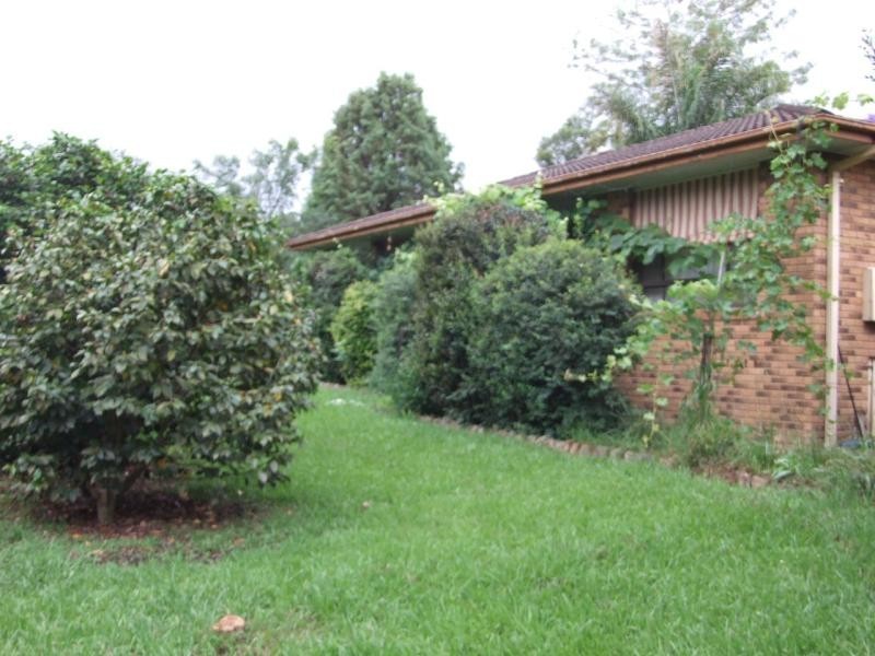 Cedar Party NSW 2429