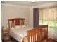 Cedar Party NSW 2429