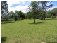 Cedar Party NSW 2429
