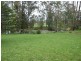 Cedar Party NSW 2429