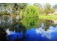 Wingham NSW 2429
