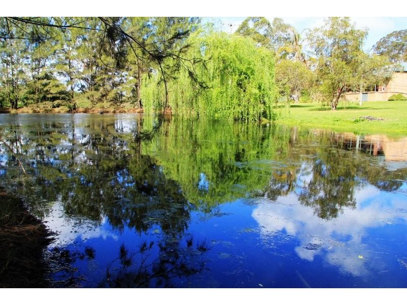 Wingham NSW 2429