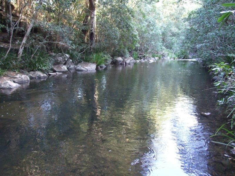 Caparra NSW 2429