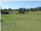 Wingham NSW 2429