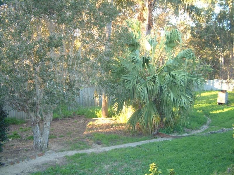 11 WOODBRIDGE DRIVE, Greenmount WA 6056