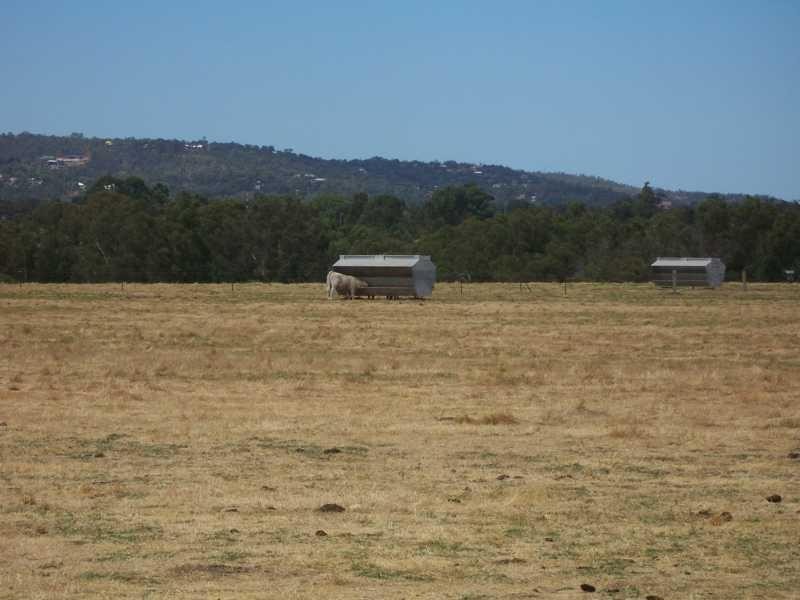 20 Wilkins St, Bellevue WA 6056