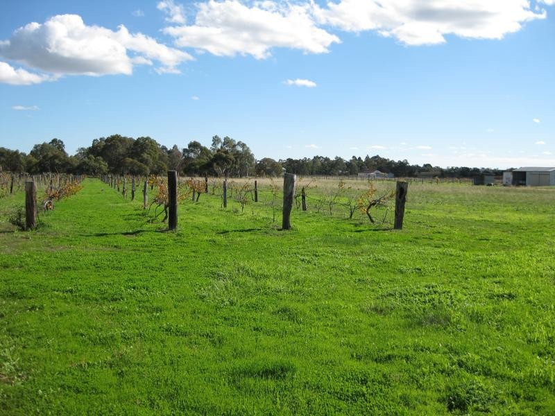 11 Scrivner Road, Herne Hill WA 6056