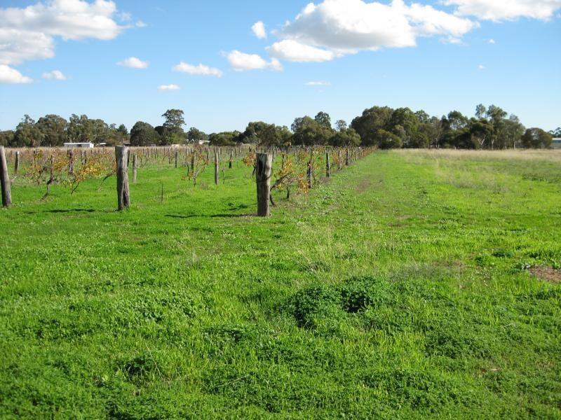 11 Scrivner Road, Herne Hill WA 6056