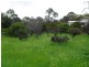 Darlington WA 6070