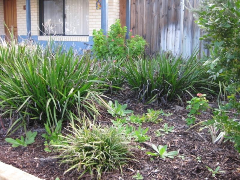 91 Coolamon Boulevarde, Ellenbrook WA 6069