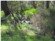 Greenmount WA 6056