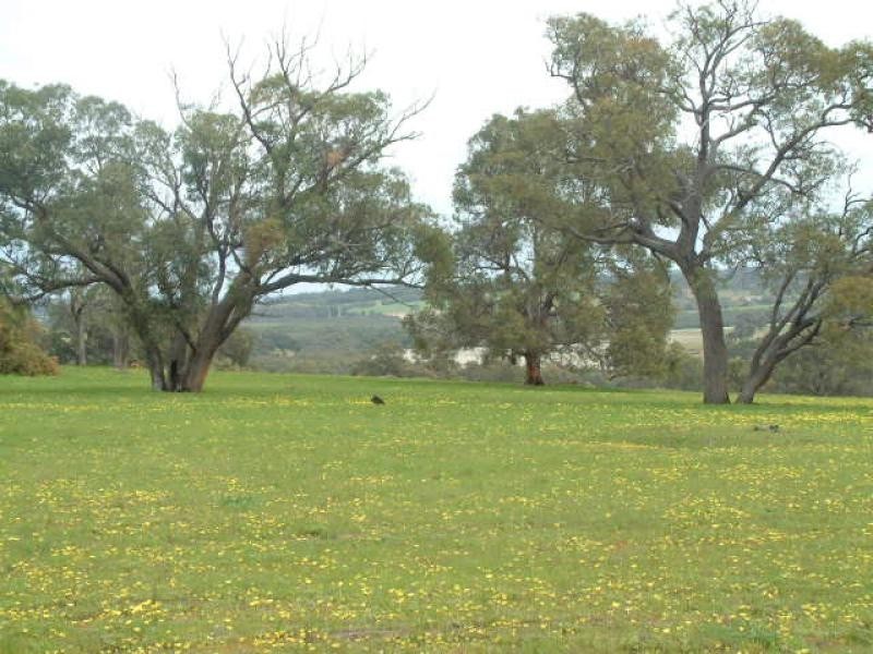 891 Gray Rd, Bindoon WA 6502