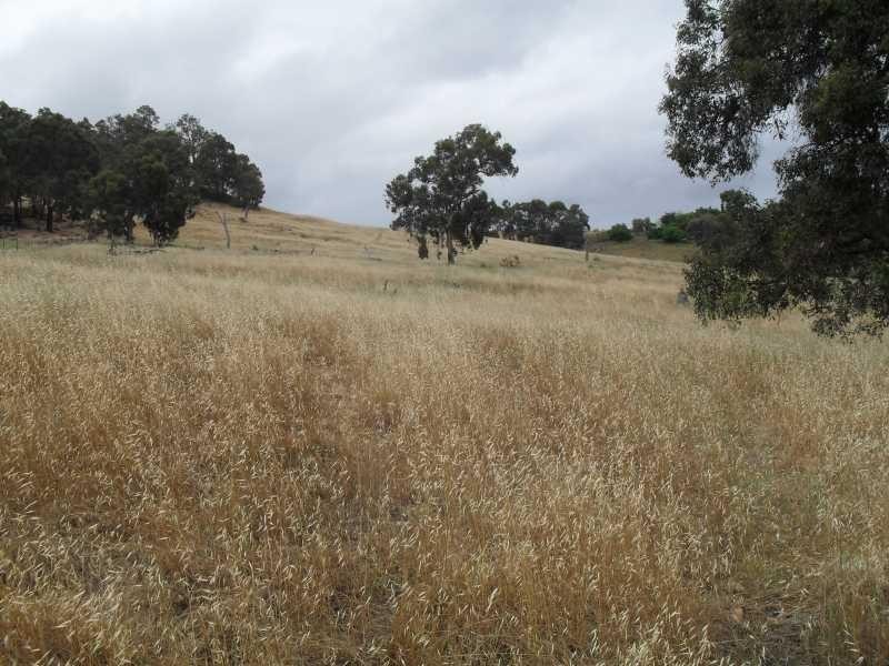 43 South Western Hwy, Bridgetown WA 6255