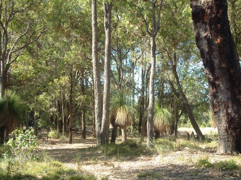 1990 Woodlands Drive, Stoneville WA 6081