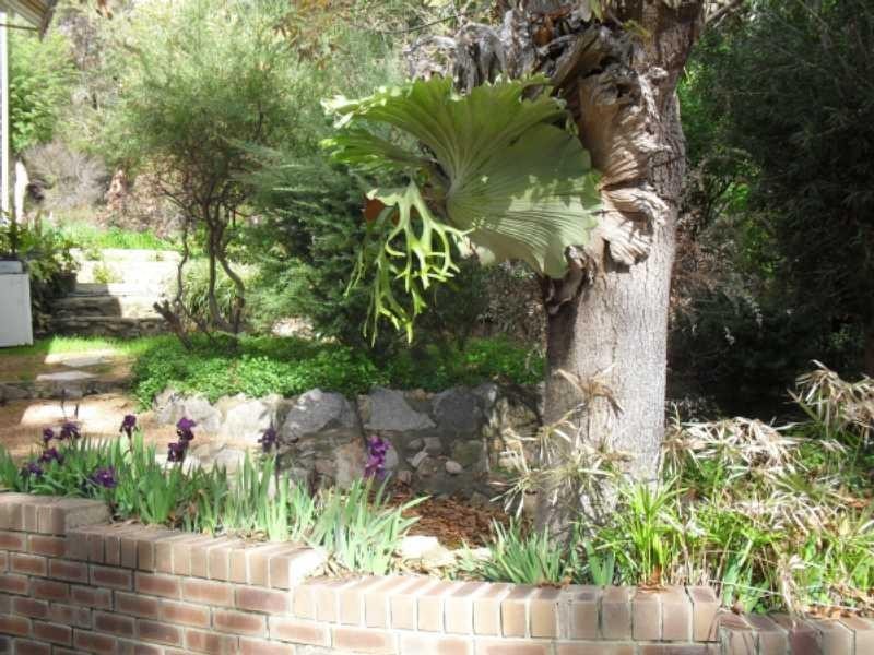 1 Robinson Court, Darlington WA 6070