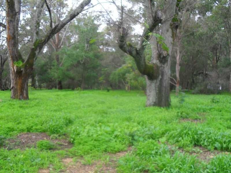 Mahogany Creek WA 6072