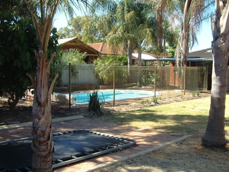 51 Blackadder Rd, Swan View WA 6056