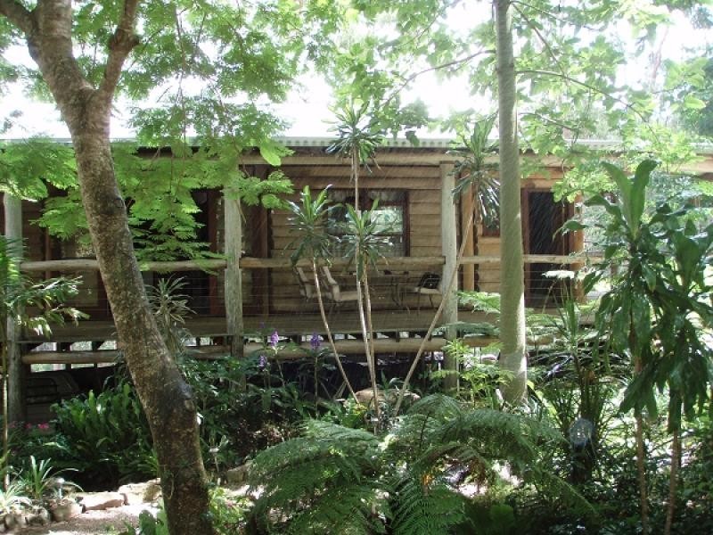 397 DENNIS ROAD, Cedar Vale QLD 4285