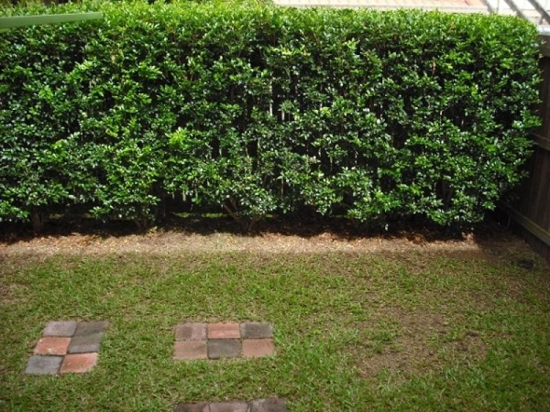 Waterford West QLD 4133