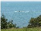 162A MAIN ROAD, Wellington Point QLD 4160
