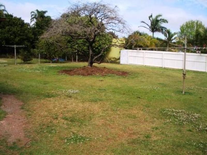 343 BLOOMFIELD STREET, Cleveland QLD 4163