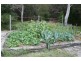 49 Beehive Road, Amity Point QLD 4183
