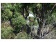 214 Dickson Way, Dunwich QLD 4183